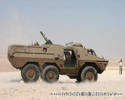 Ratel_81_mm.jpg