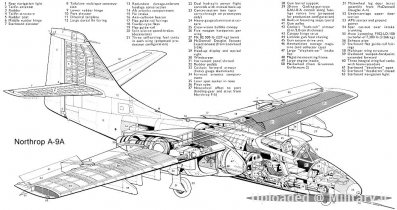 normal_NorthropA-9A-1.jpg