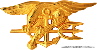 normal_US_Navy_SEALs_insignia.png