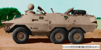 normal_ratel-81.gif